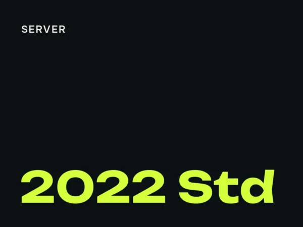 Windows Server 2022 Standard