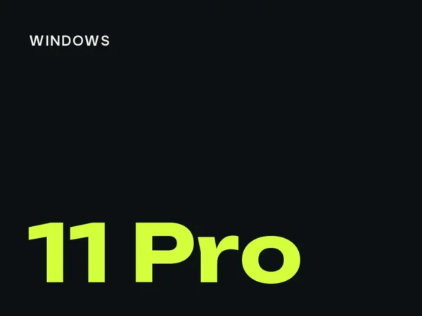 Windows 11 Pro